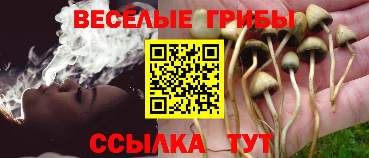 Псилоцибиновые грибы Psilocybine cubensis Каменск-Уральский